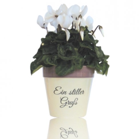 Blumentopf "EIN STILLER GRUSS"