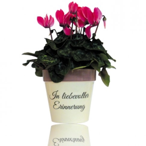 Blumentopf "IN LIEBEVOLLER ERINNERUNG"
